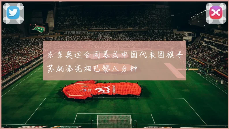 东京奥运会闭幕式中国代表团旗手苏炳添亮相巴黎八分钟