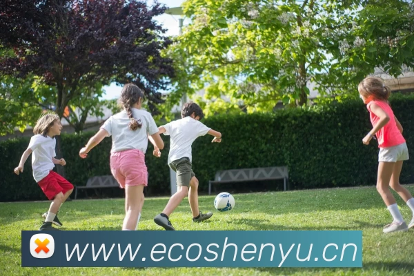 B体育直播·(B - sports)官方网站服务体系